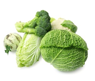 Many different types of fresh cabbage on white background