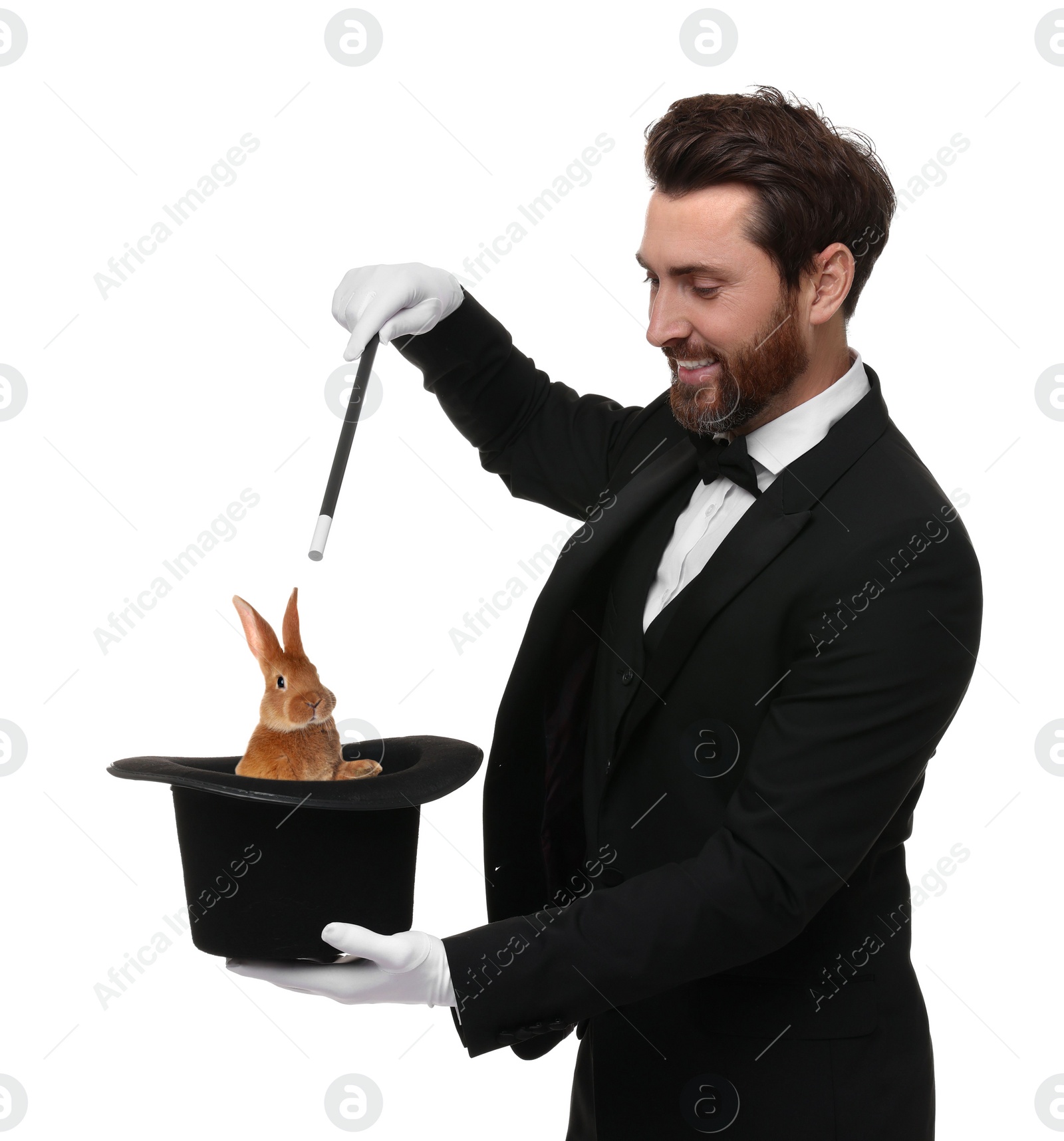 Image of Magician showing trick with top hat and rabbit on white background