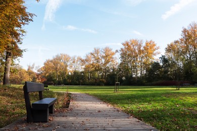Photo of Picturesque view of park with beautiful trees, bench and pathway on sunny day. Autumn season