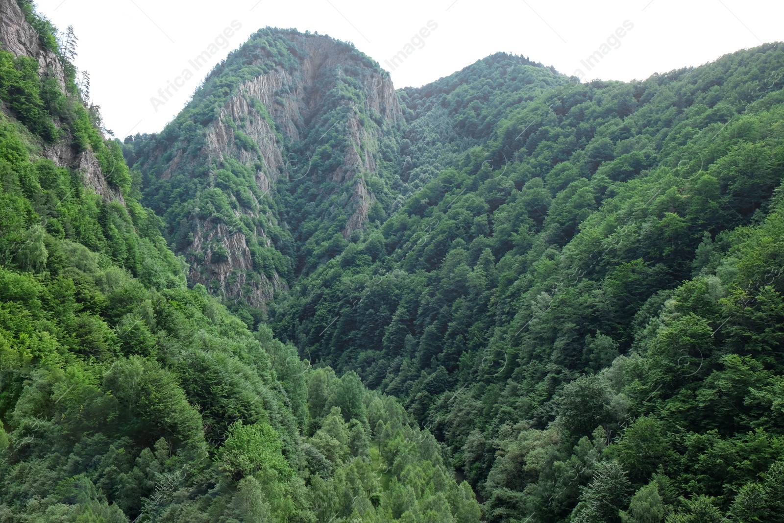 Photo of Picturesque view of beautiful mountains on sunny day