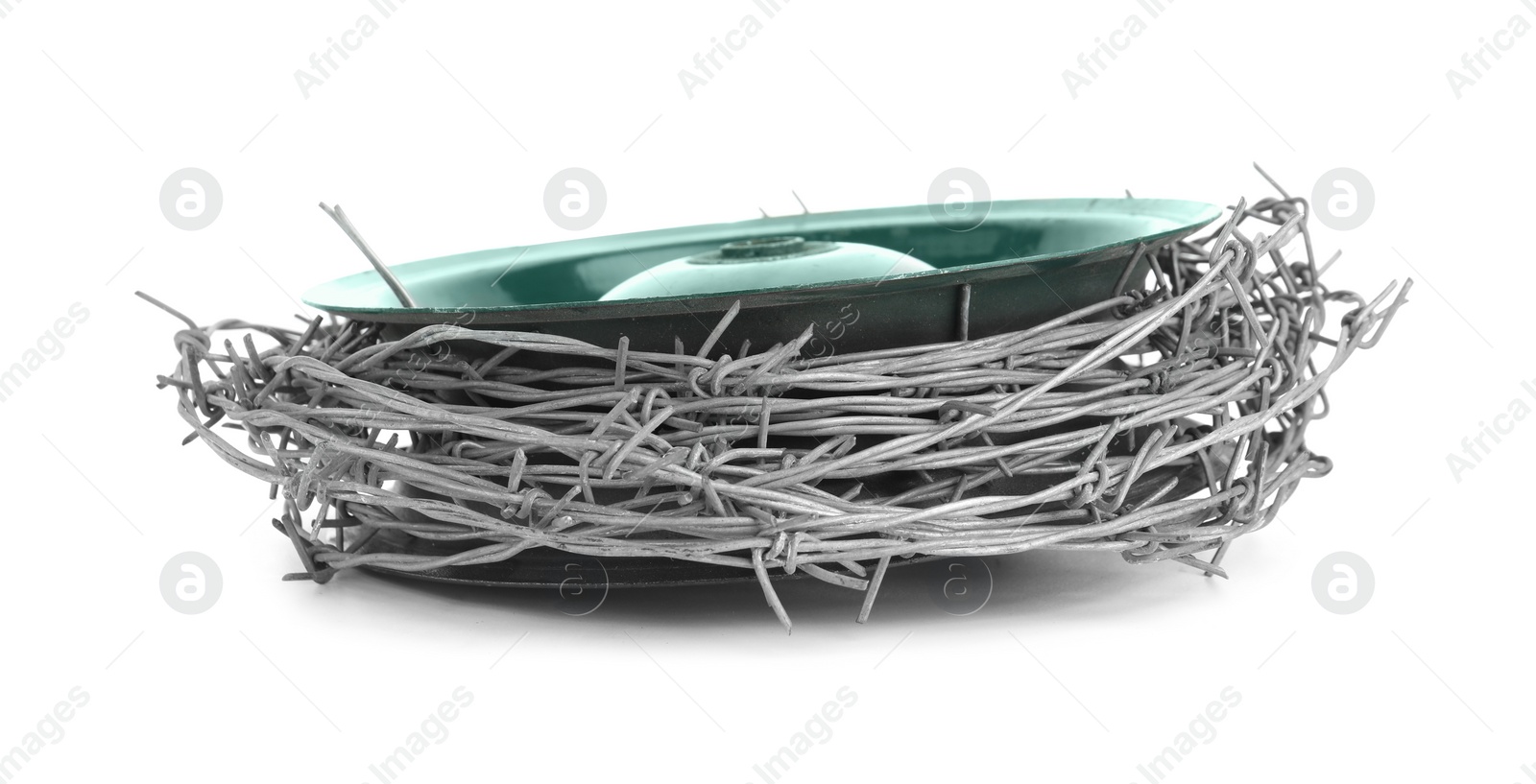 Photo of Coil of metal barbed wire isolated on white