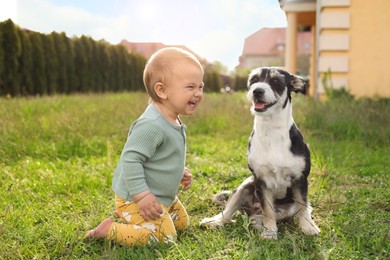 Photo of Adorable baby and furry little dog on green grass outdoors