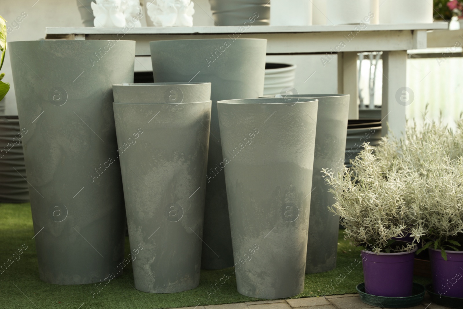 Photo of Large grey flowerpots and beautiful plants in garden center