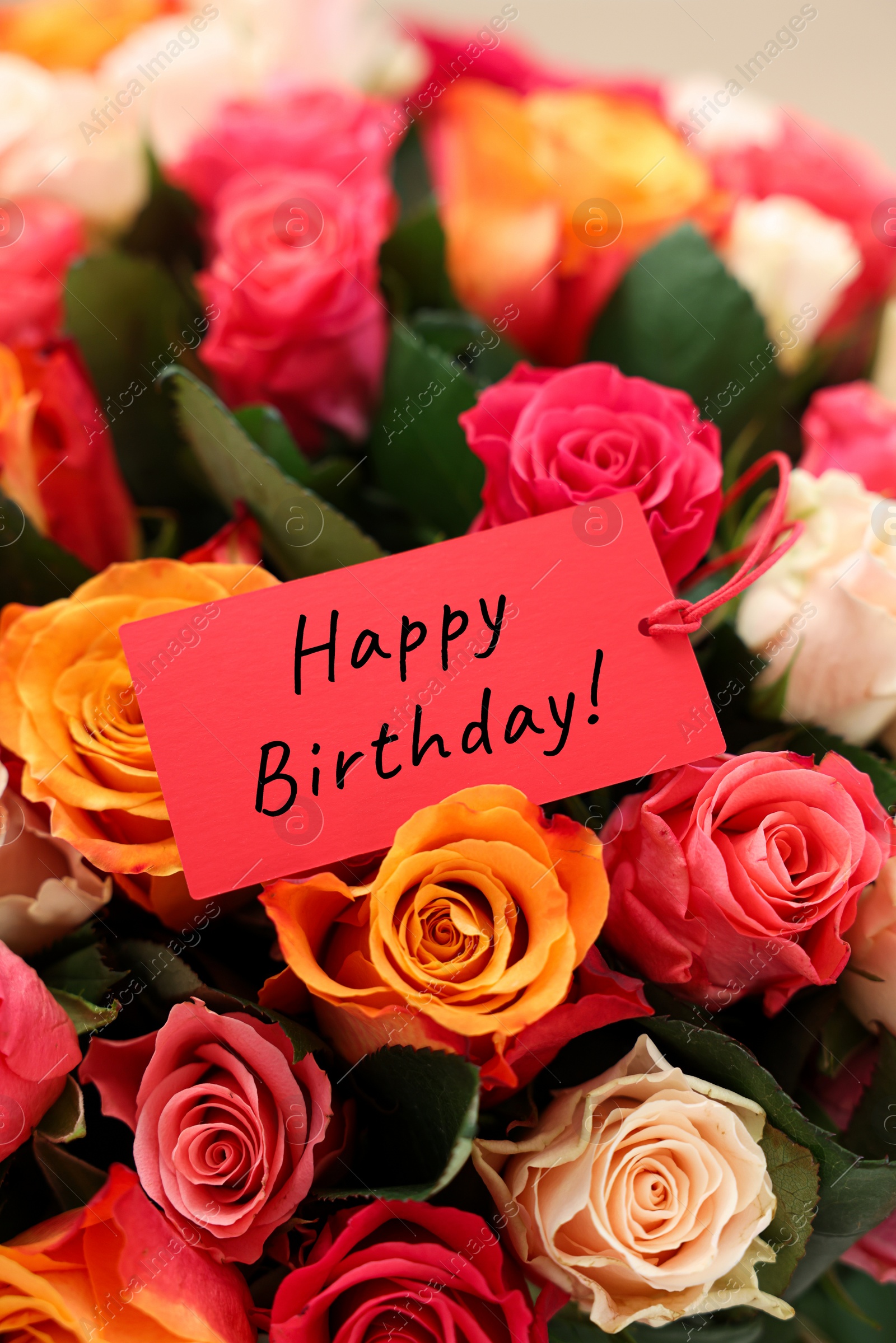 Image of Bouquet of beautiful roses with Happy Birthday card, closeup