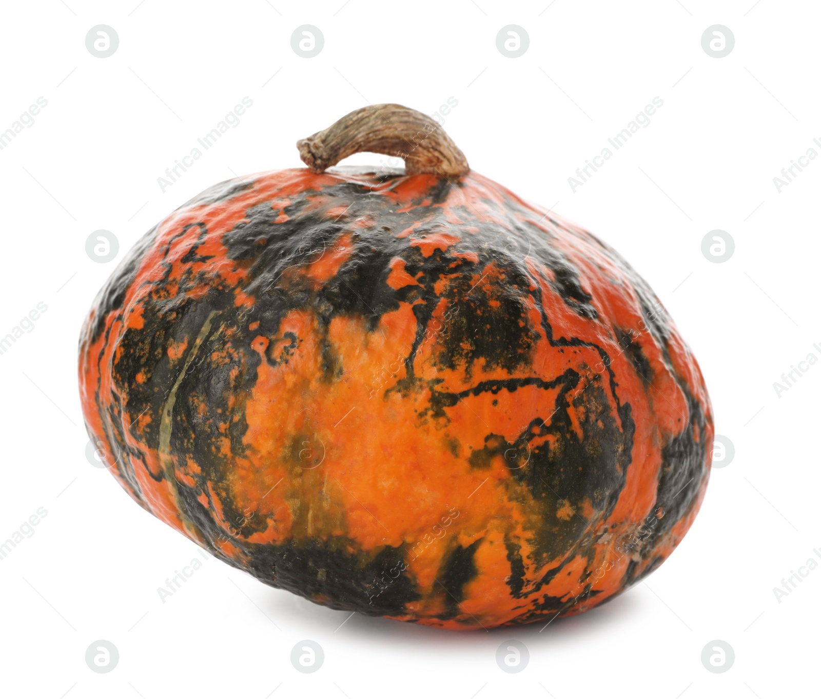 Photo of Fresh raw pumpkin isolated on white. Organic plant