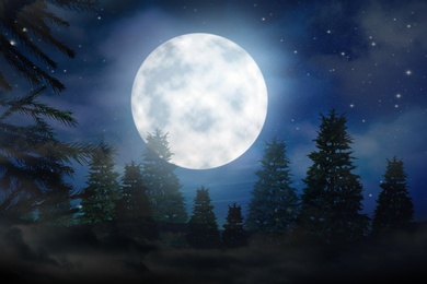 Image of Fantasy night. Full moon in sky over fir forest