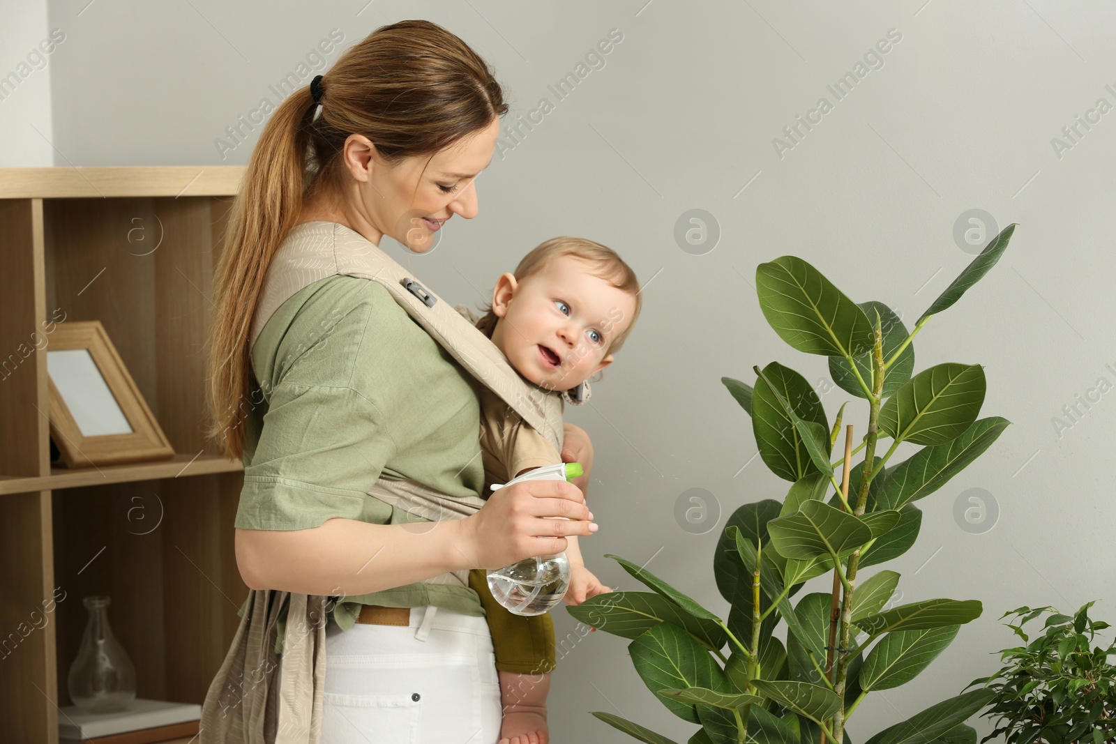 Photo of Mother spraying houseplant with water while holding her child in sling (baby carrier) at home