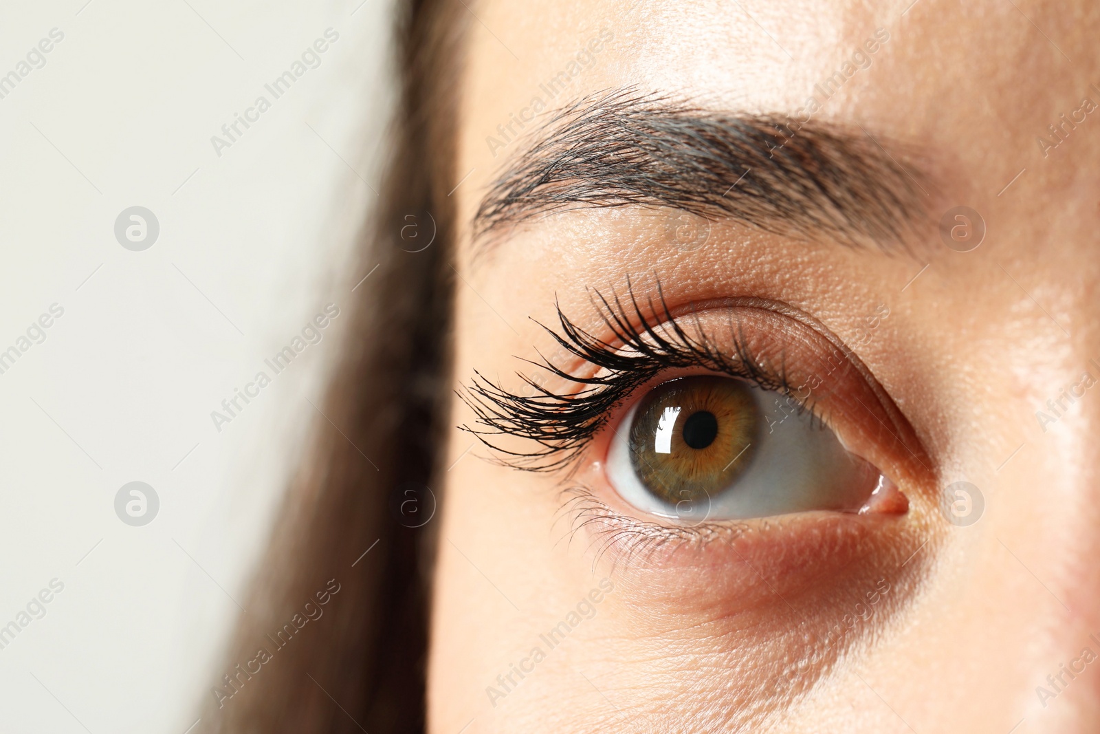 Photo of Macro photo of woman with beautiful eyes on light background. Space for text