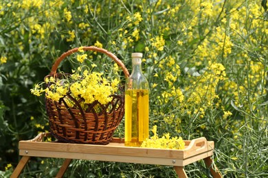 Photo of Rapeseed oil and basket with flowers in field