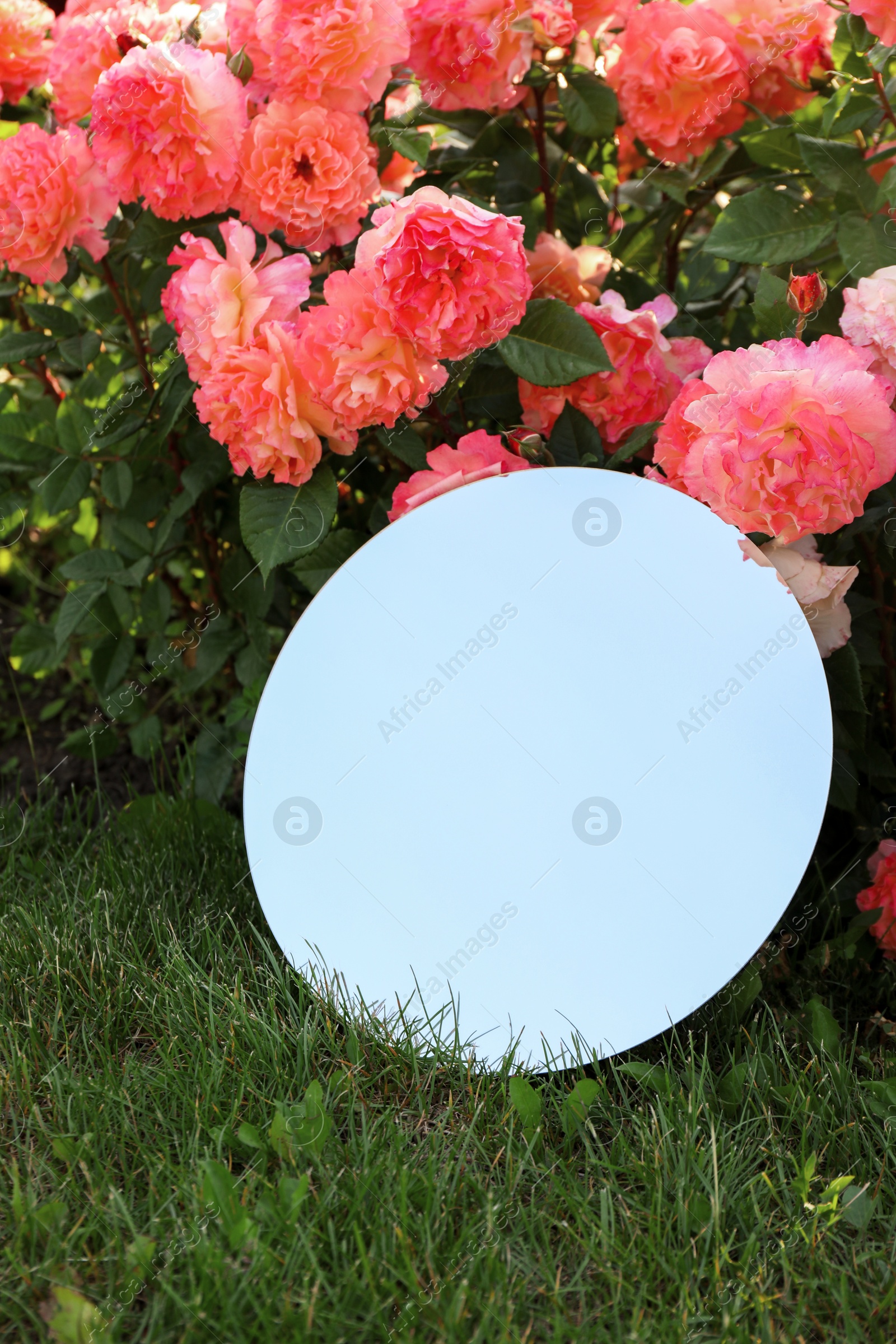 Photo of Round mirror on grass near beautiful flowers