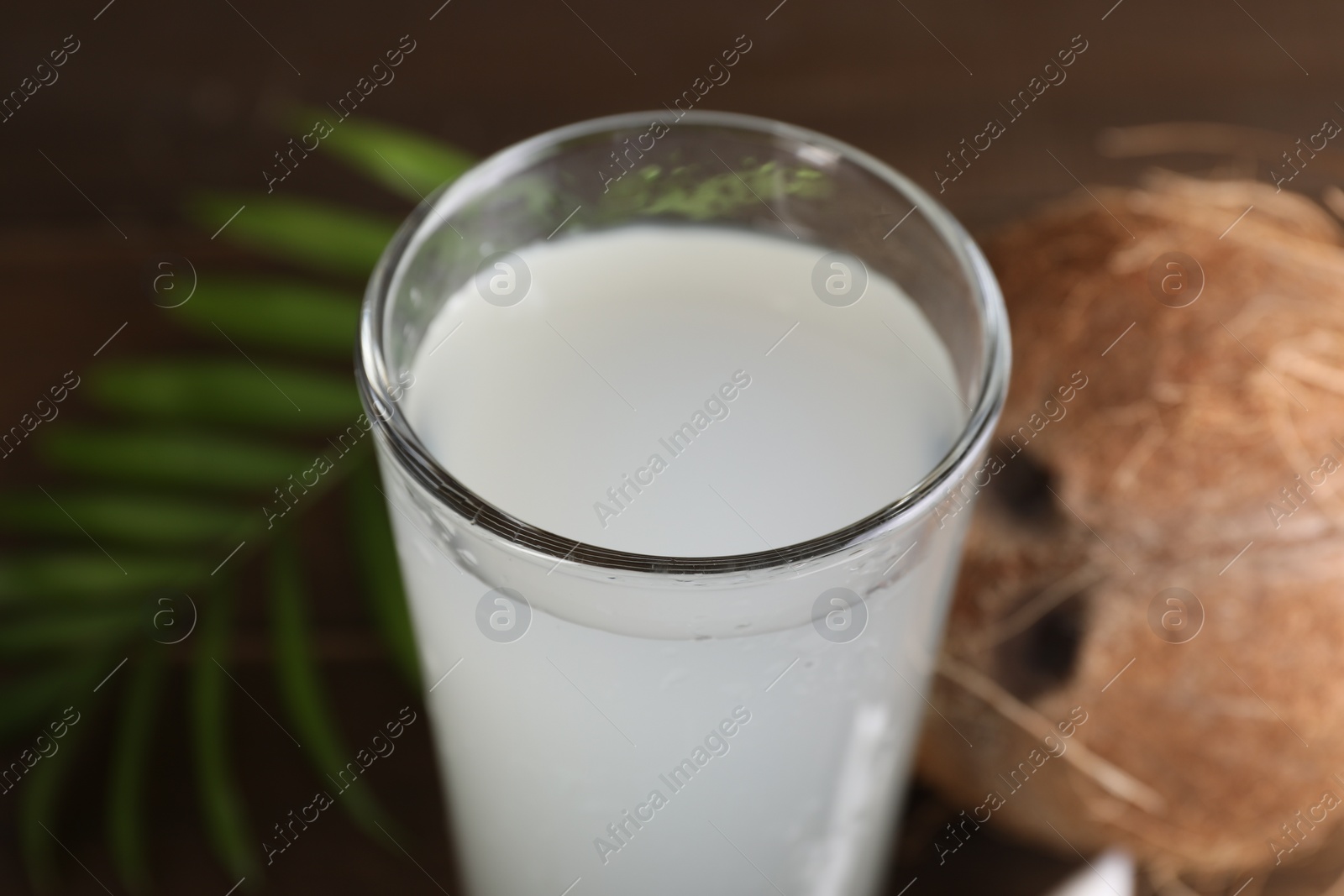 Photo of Glass of coconut water, leaf and nuts on table, closeup