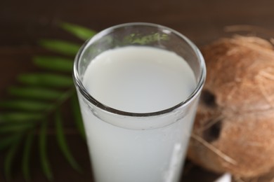 Glass of coconut water, leaf and nuts on table, closeup