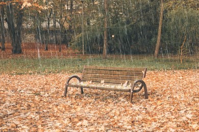 Image of Wooden bench and fallen autumn leaves in park on rainy day