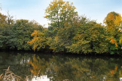 Photo of Picturesque view of river and trees in beautiful park. Autumn season