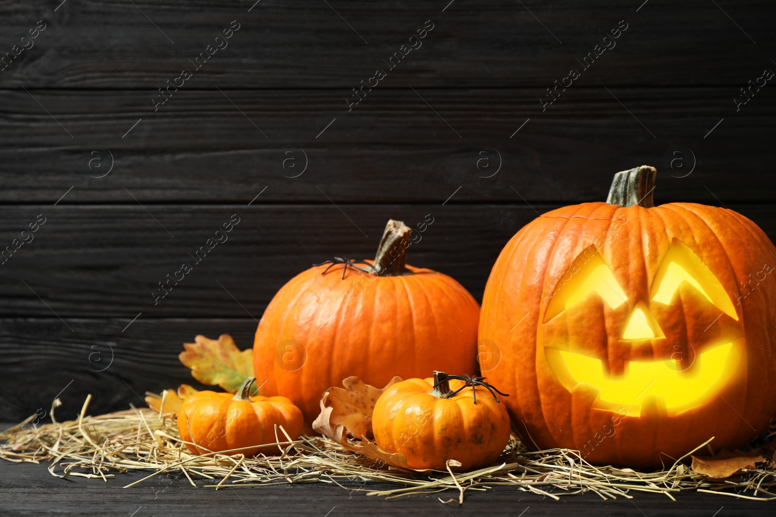 Photo of Jack o'lantern, pumpkins and straw on black wooden table, space for text. Halloween decor