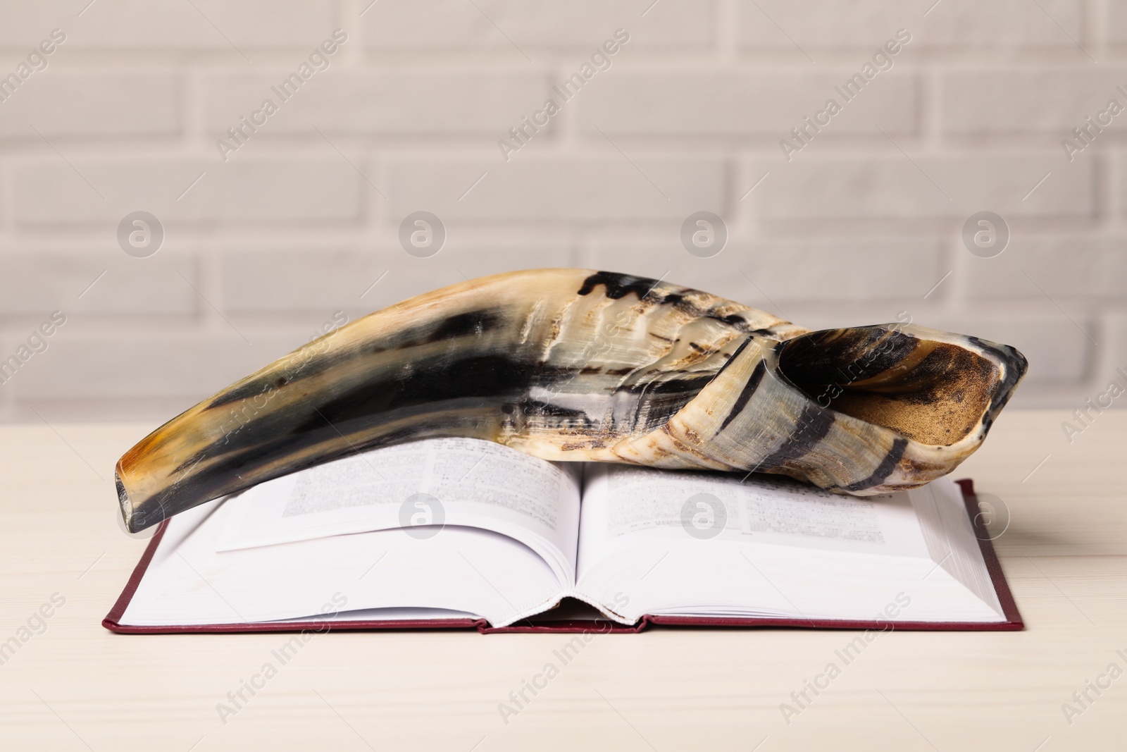 Photo of Shofar and open Torah book on white wooden table. Rosh Hashanah holiday attributes