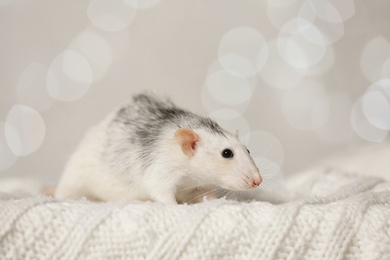 Photo of Cute little rat on knitted blanket against blurred lights. Chinese New Year symbol