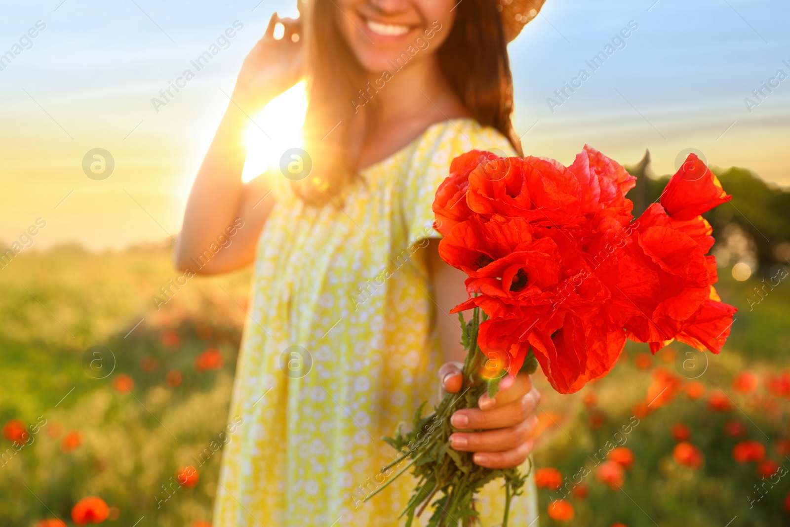 Photo of Woman with bouquet of poppies in field on sunny day, closeup