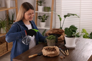 Photo of Woman in gloves spraying houseplants with water after transplanting at wooden table indoors