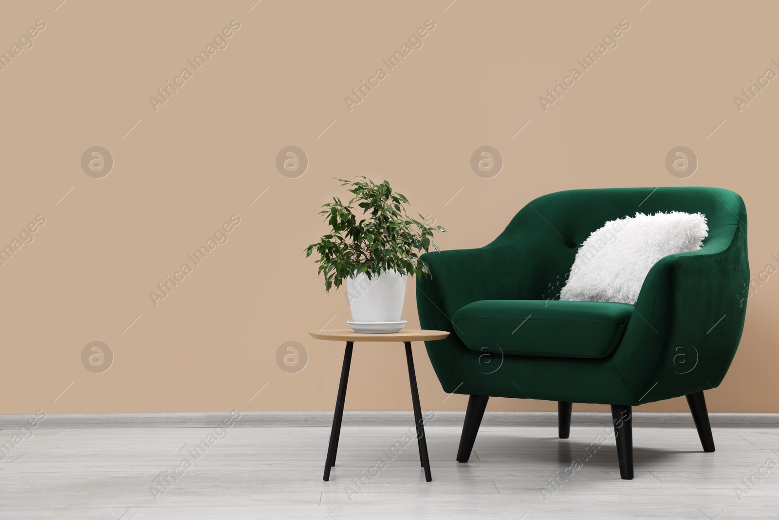 Photo of Stylish armchair and side table with plant near beige wall indoors, space for text