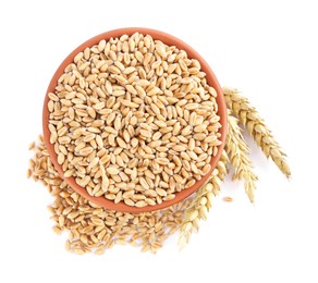 Photo of Bowl with wheat grains and spikes on white background, top view