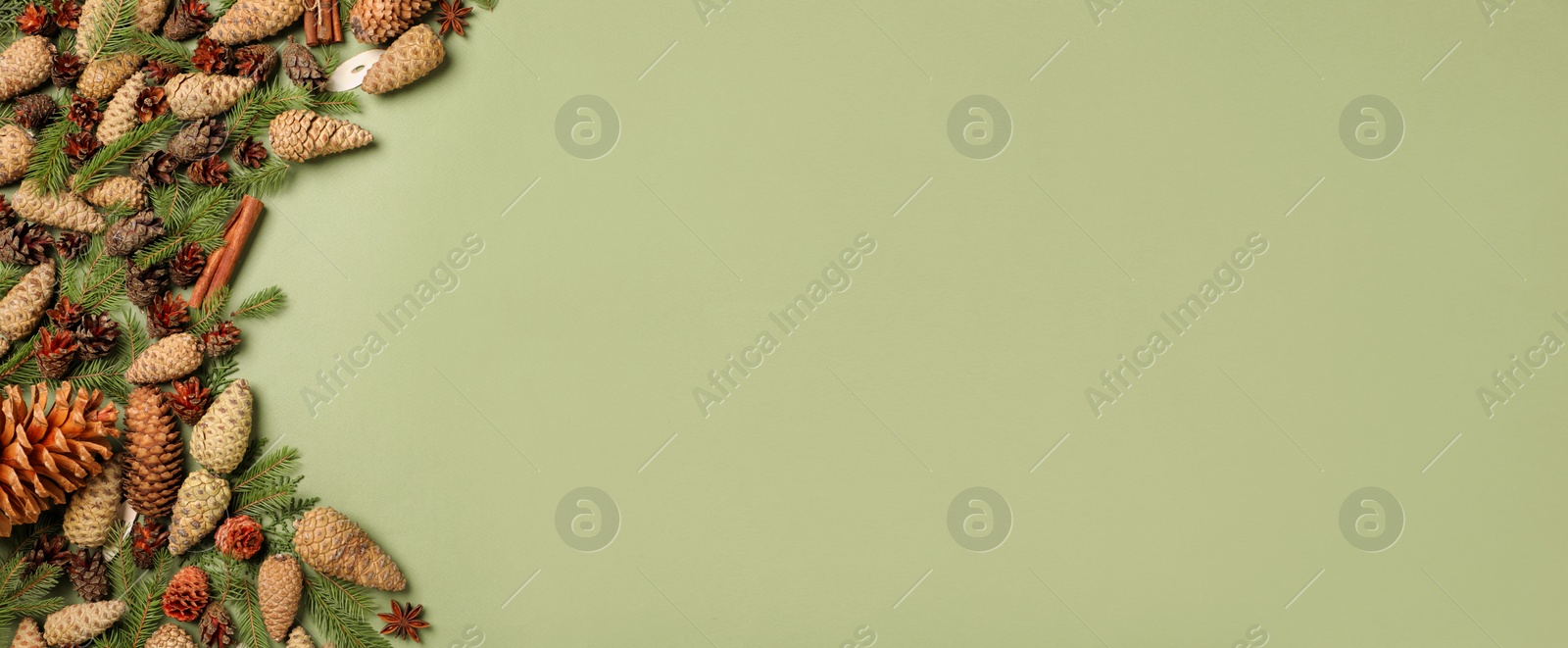 Image of Flat lay composition with pinecones on green background, space for text. Horizontal banner design