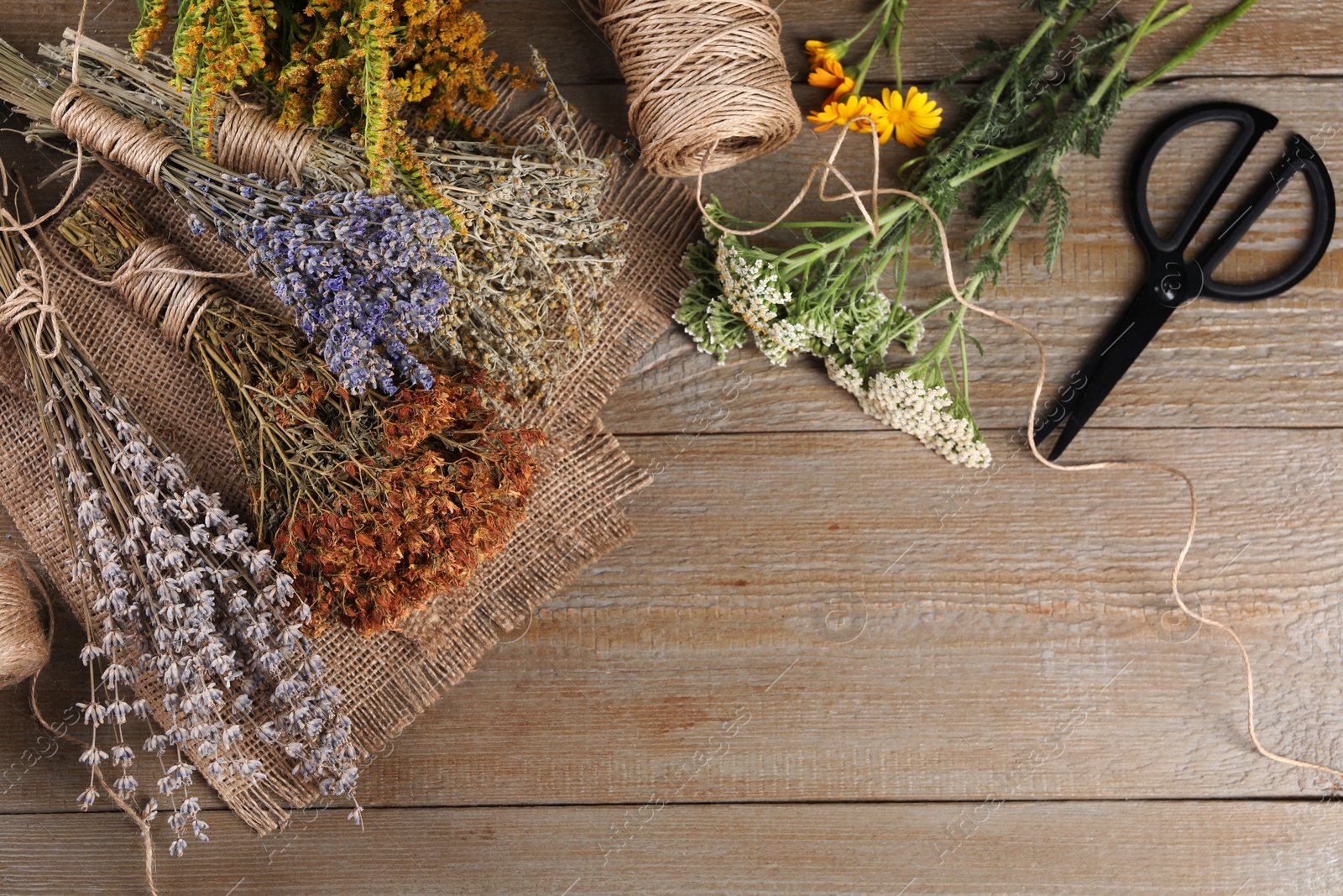 Photo of Different herbs, thread and scissors on wooden table, flat lay. Space for text