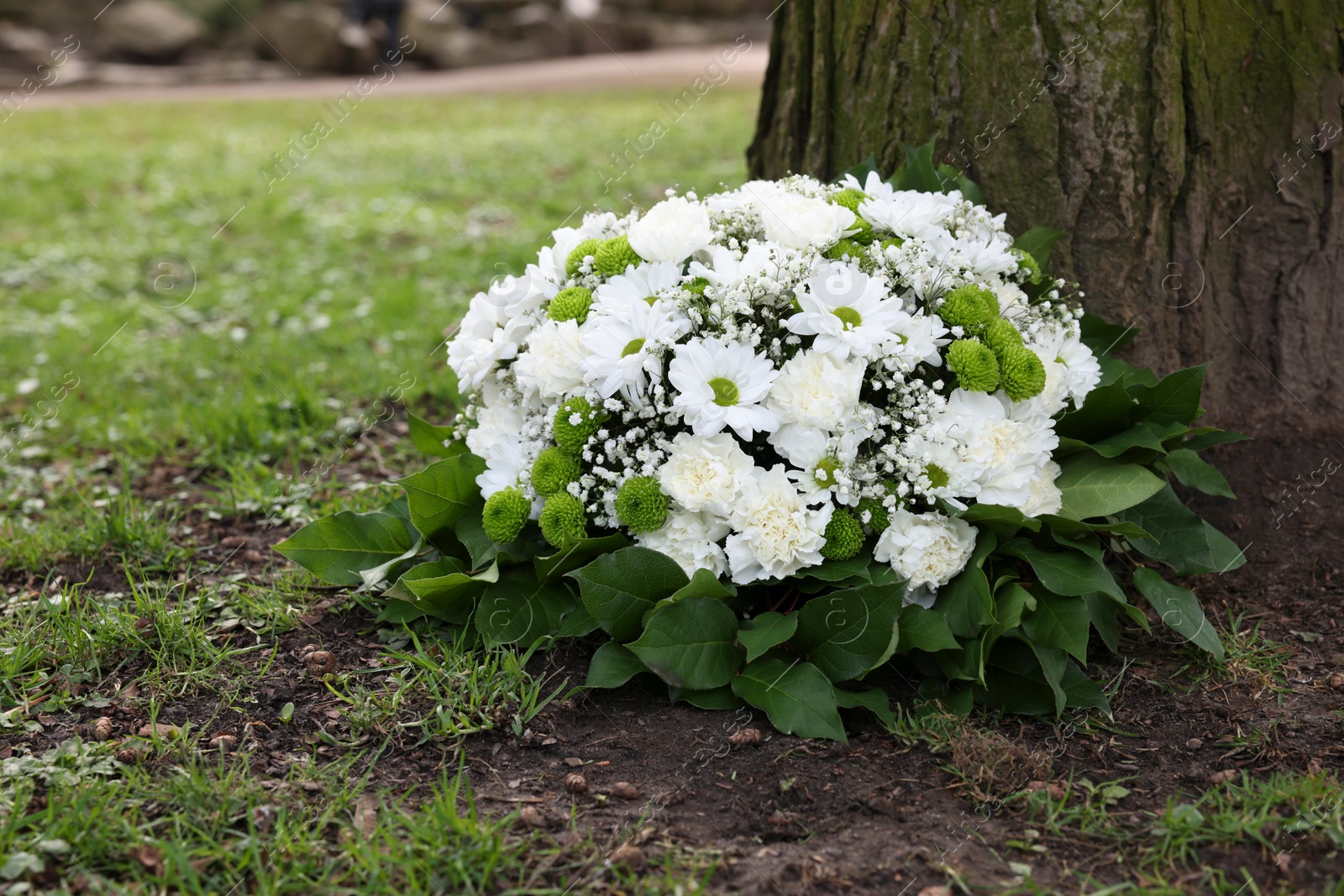 Photo of Funeral wreath of flowers near tree outdoors