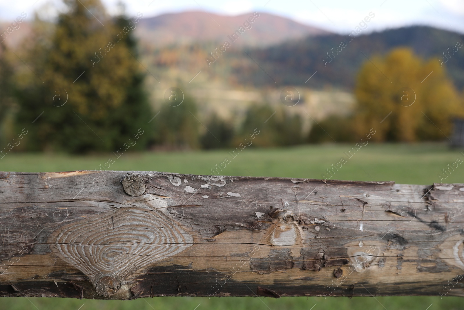 Photo of Closeup view of old wooden fence outdoors