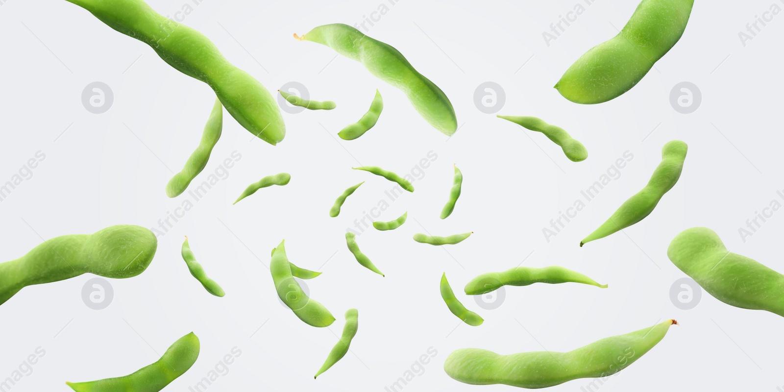 Image of Many green edamame pods falling on white background