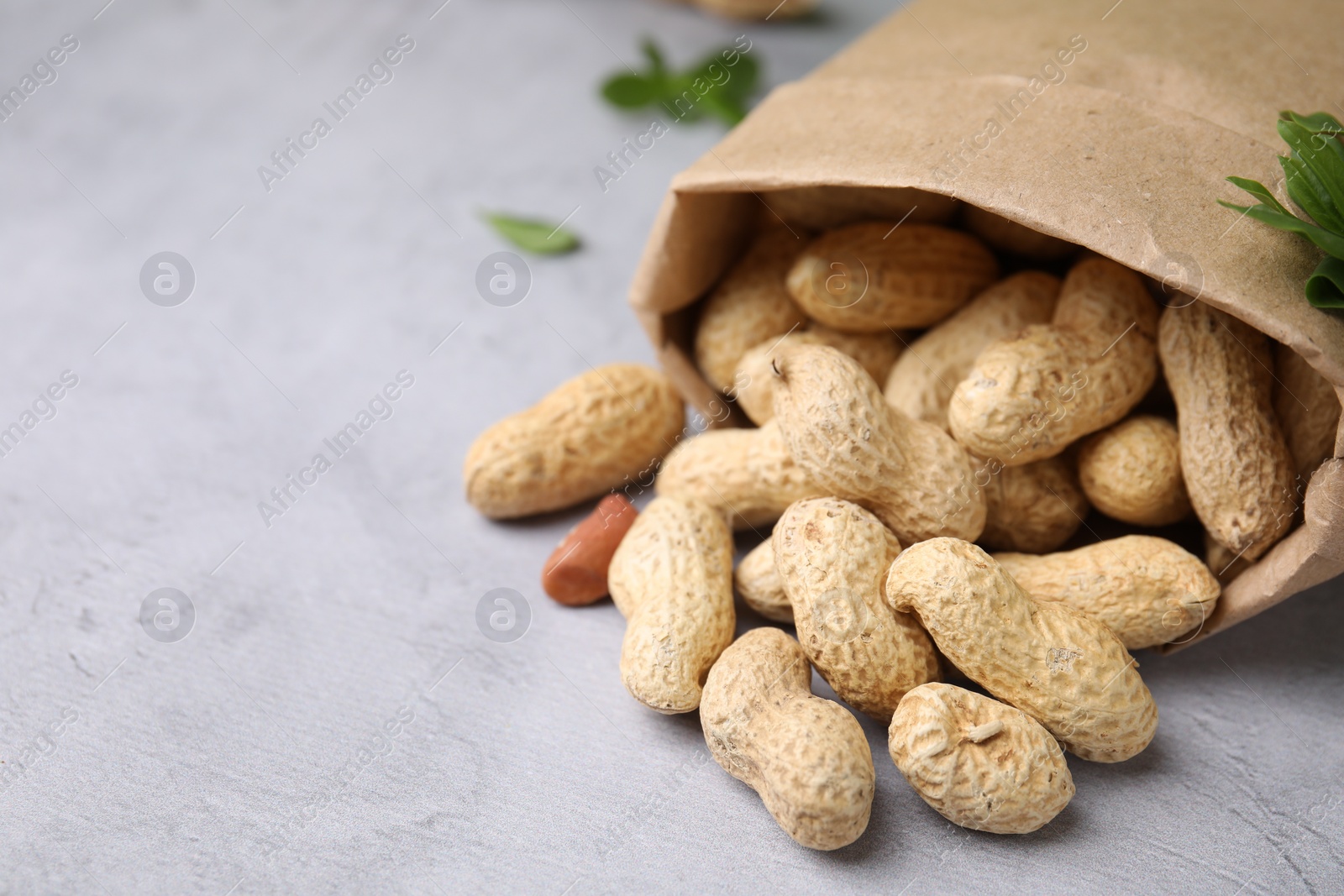 Photo of Paper bag with fresh unpeeled peanuts on grey table, closeup. Space for text