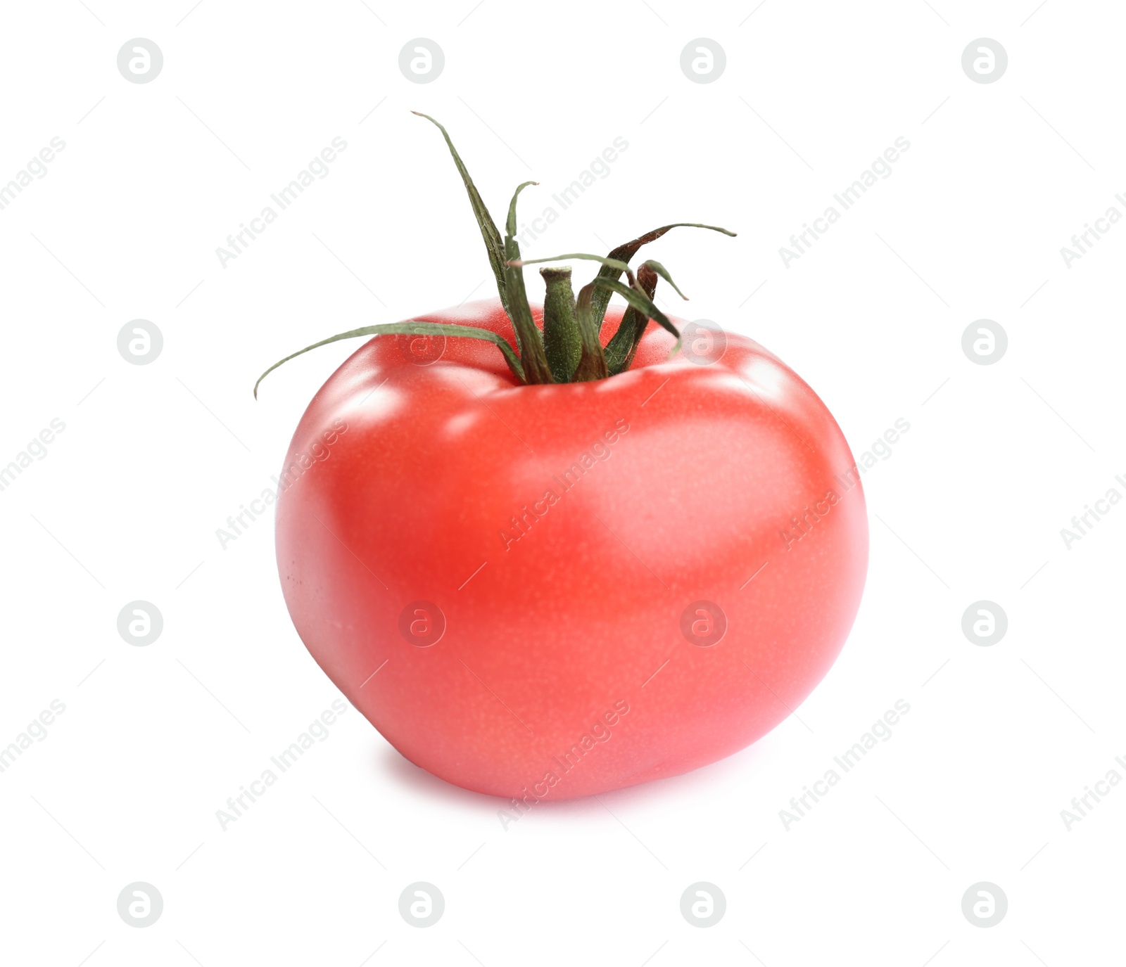 Photo of Fresh ripe organic tomato isolated on white