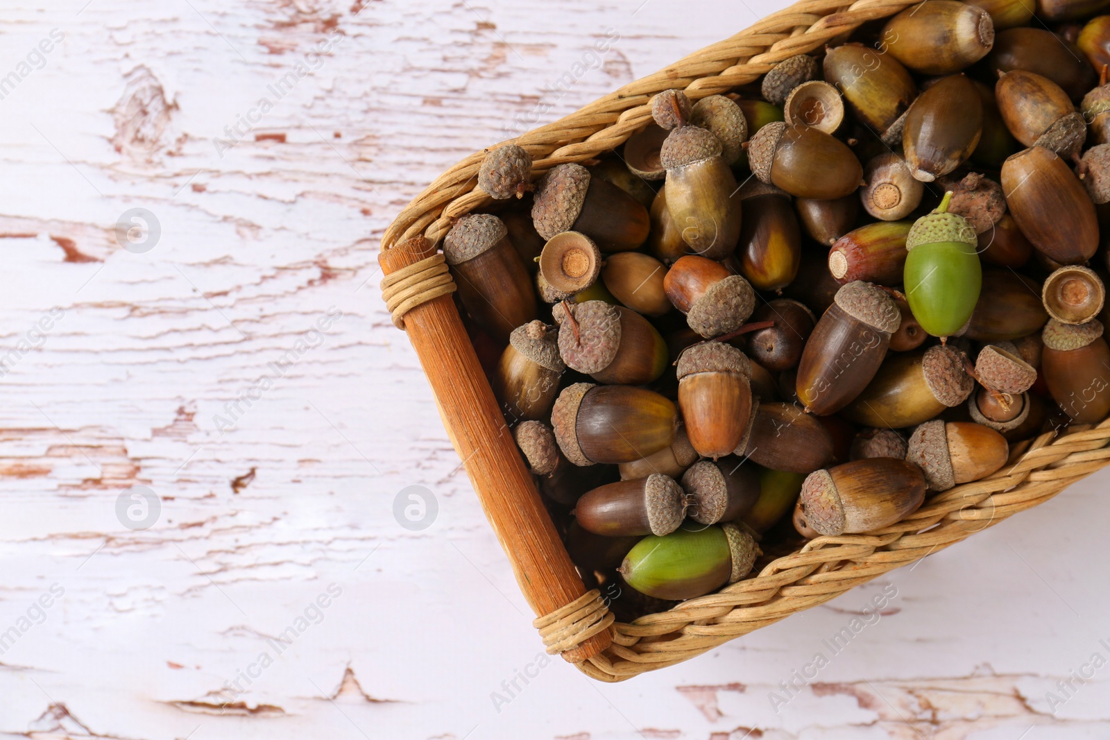 Photo of Wicker basket with acorns on white wooden table, top view. Space for text