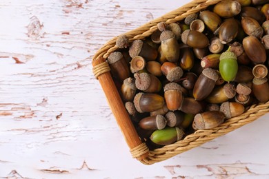 Photo of Wicker basket with acorns on white wooden table, top view. Space for text