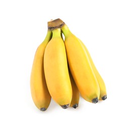 Photo of Cluster of ripe baby bananas on white background