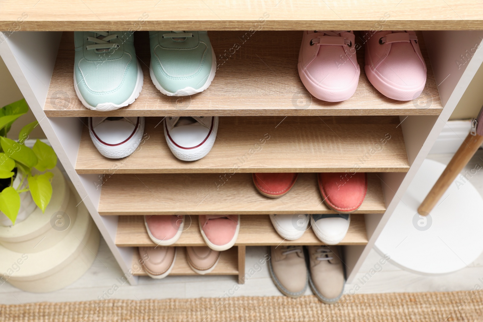 Photo of Different stylish shoes in storage unit, above view. Dressing room interior