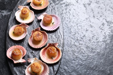 Photo of Delicious fried scallops in shells on black table, top view. Space for text