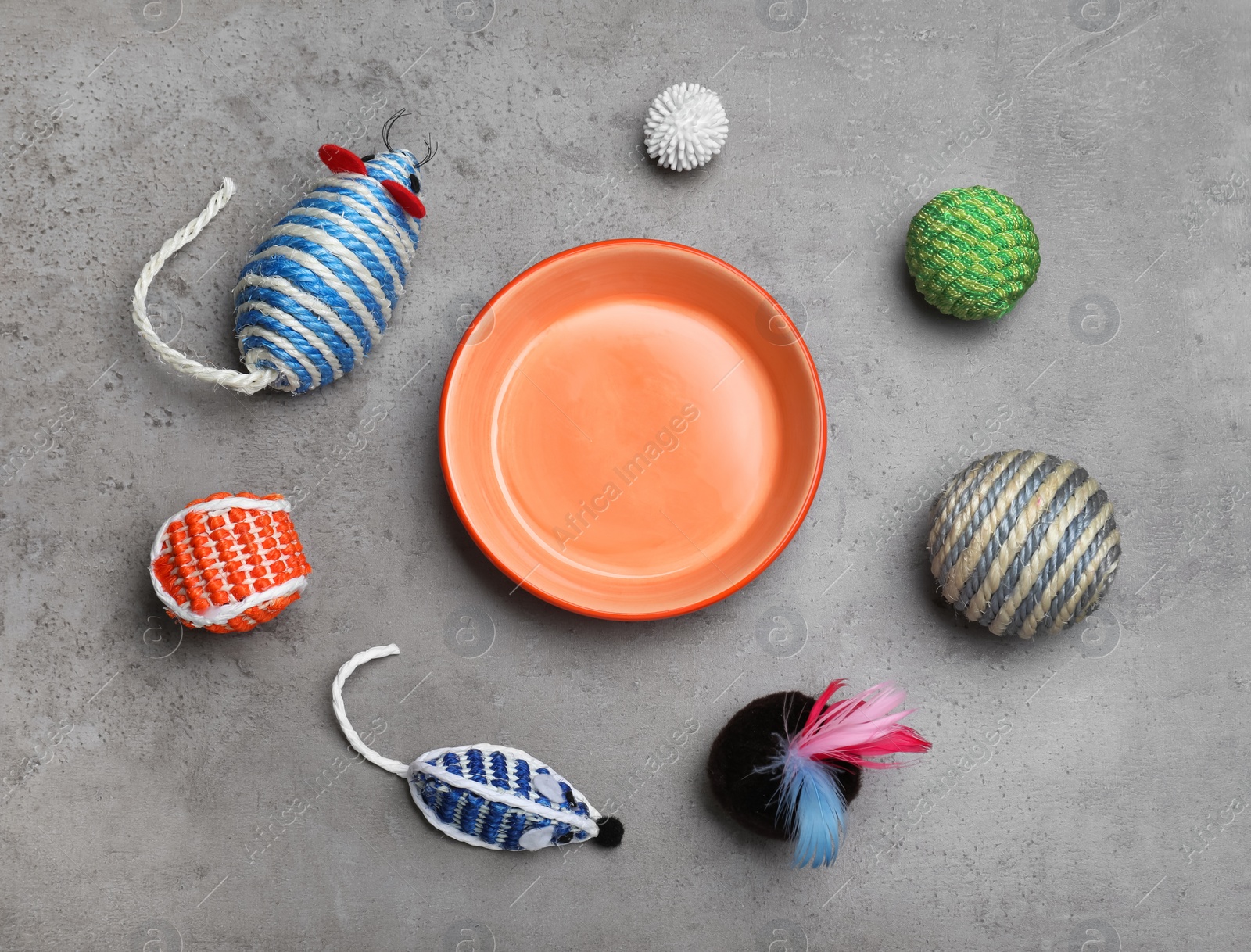 Photo of Flat lay composition with different pet toys and feeding bowl on grey background