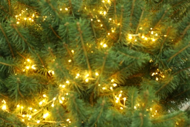 Photo of Blurred view of glowing bright fairy lights on Christmas tree