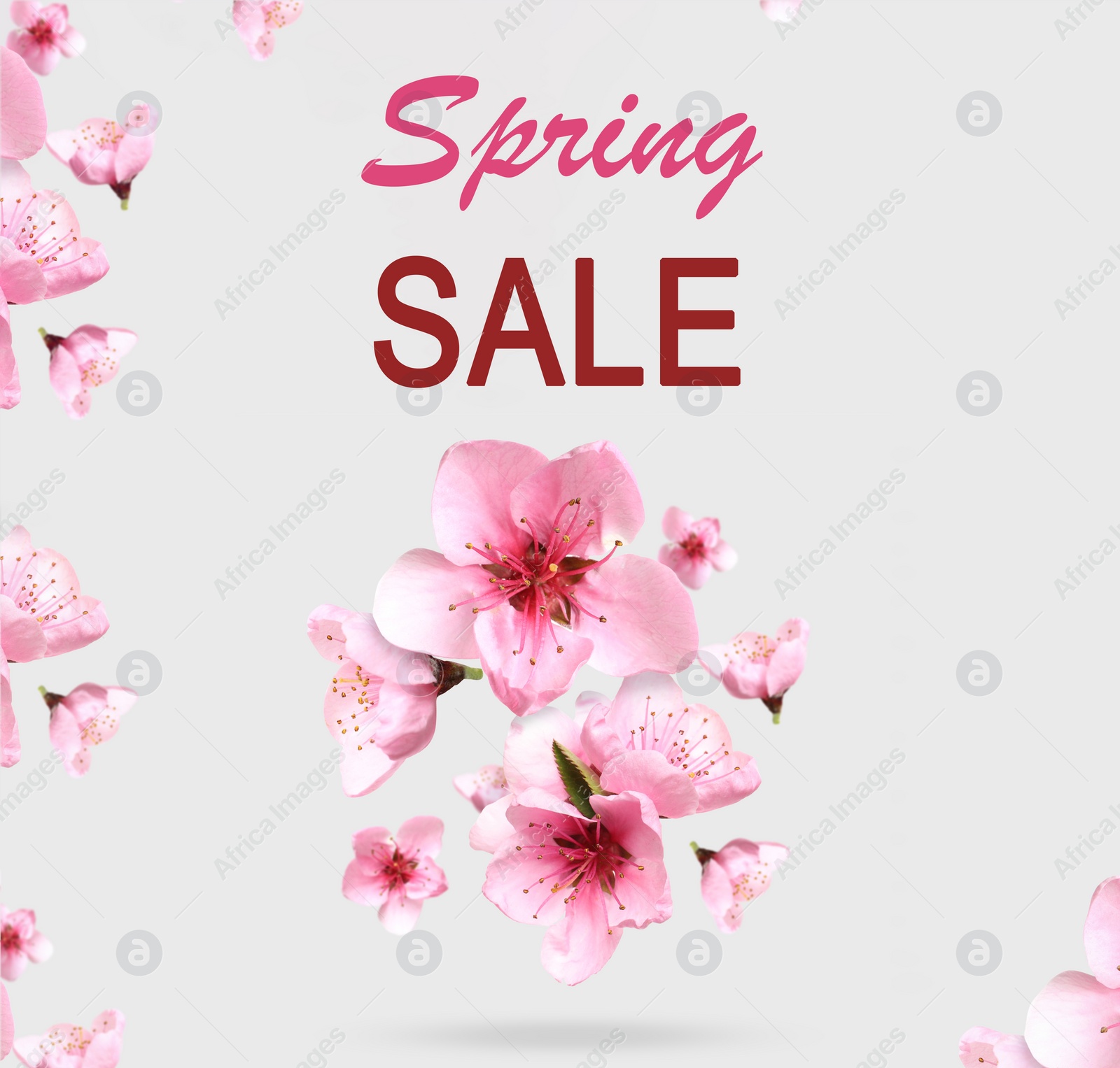 Image of Spring sale flyer design with text and beautiful pink flowers on light grey background