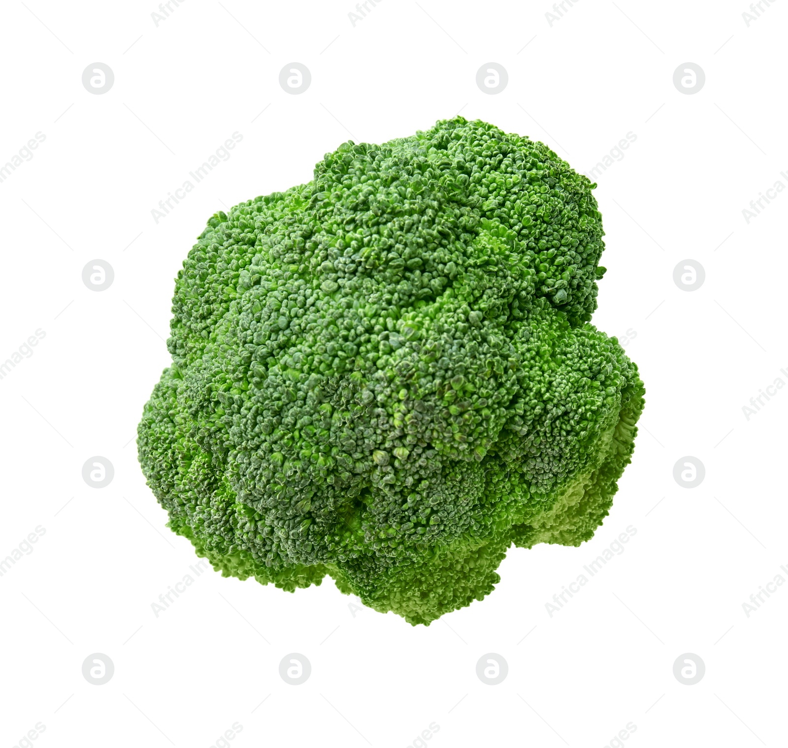 Photo of Fresh raw green broccoli isolated on white