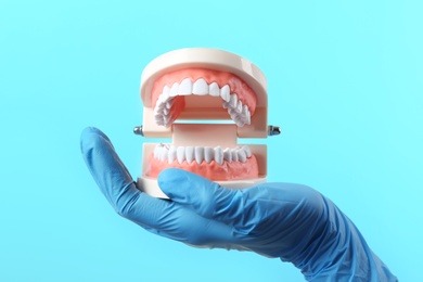 Photo of Dentist holding educational model of oral cavity with teeth on color background