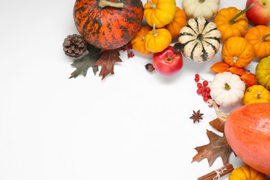 Thanksgiving day. Flat lay composition with pumpkins on white background, space for text