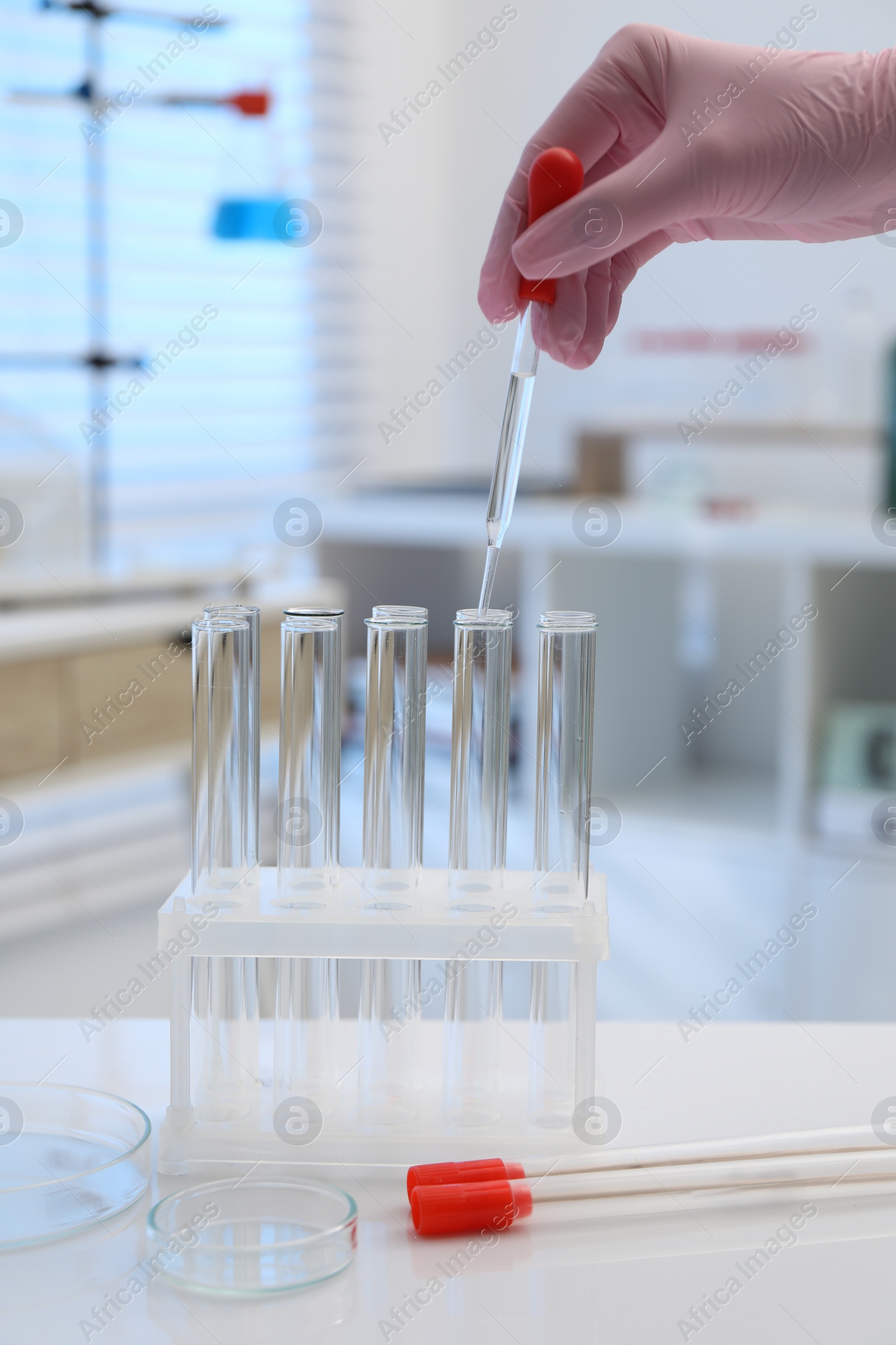 Photo of Laboratory analysis. Woman dripping liquid into test tubes at white table indoors, closeup