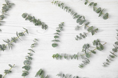 Photo of Flat lay composition with fresh eucalyptus leaves on white wooden background