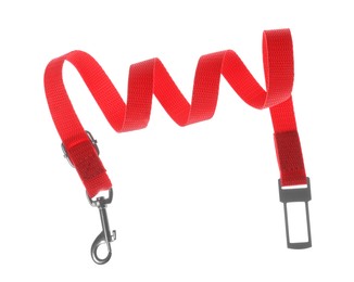 Red dog leash isolated on white. Pet accessory