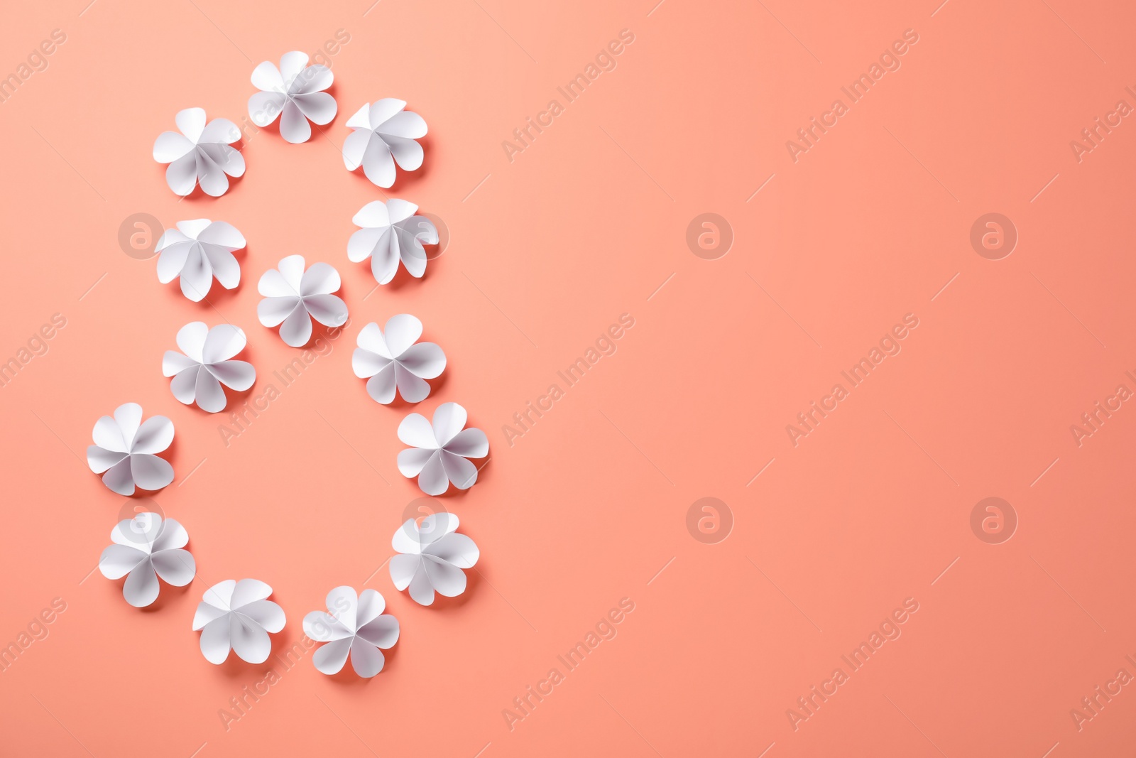 Photo of Number 8 made with white paper flowers and space for text on coral background, flat lay. International Women's day