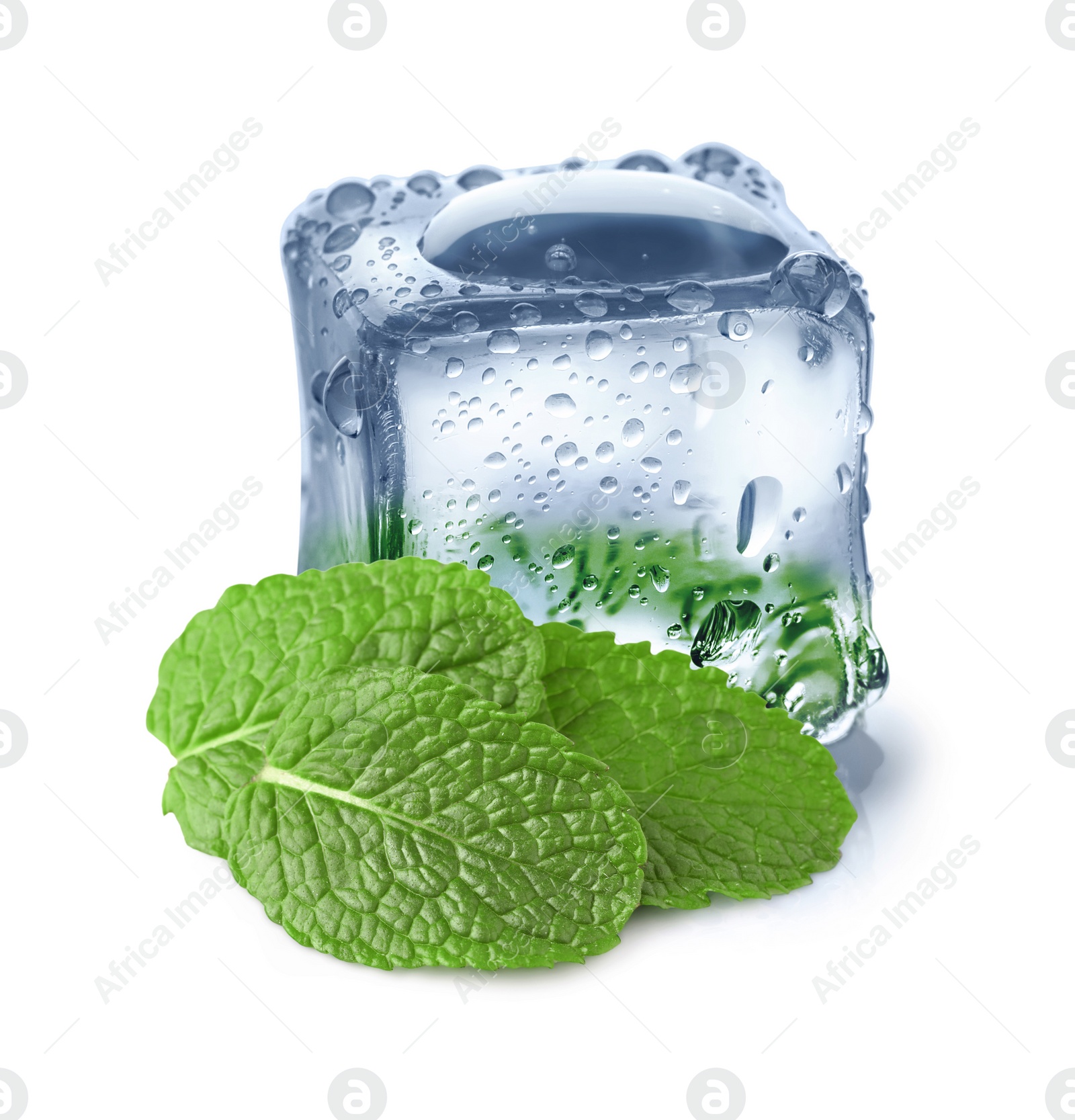 Image of Green mint and ice cube isolated on white