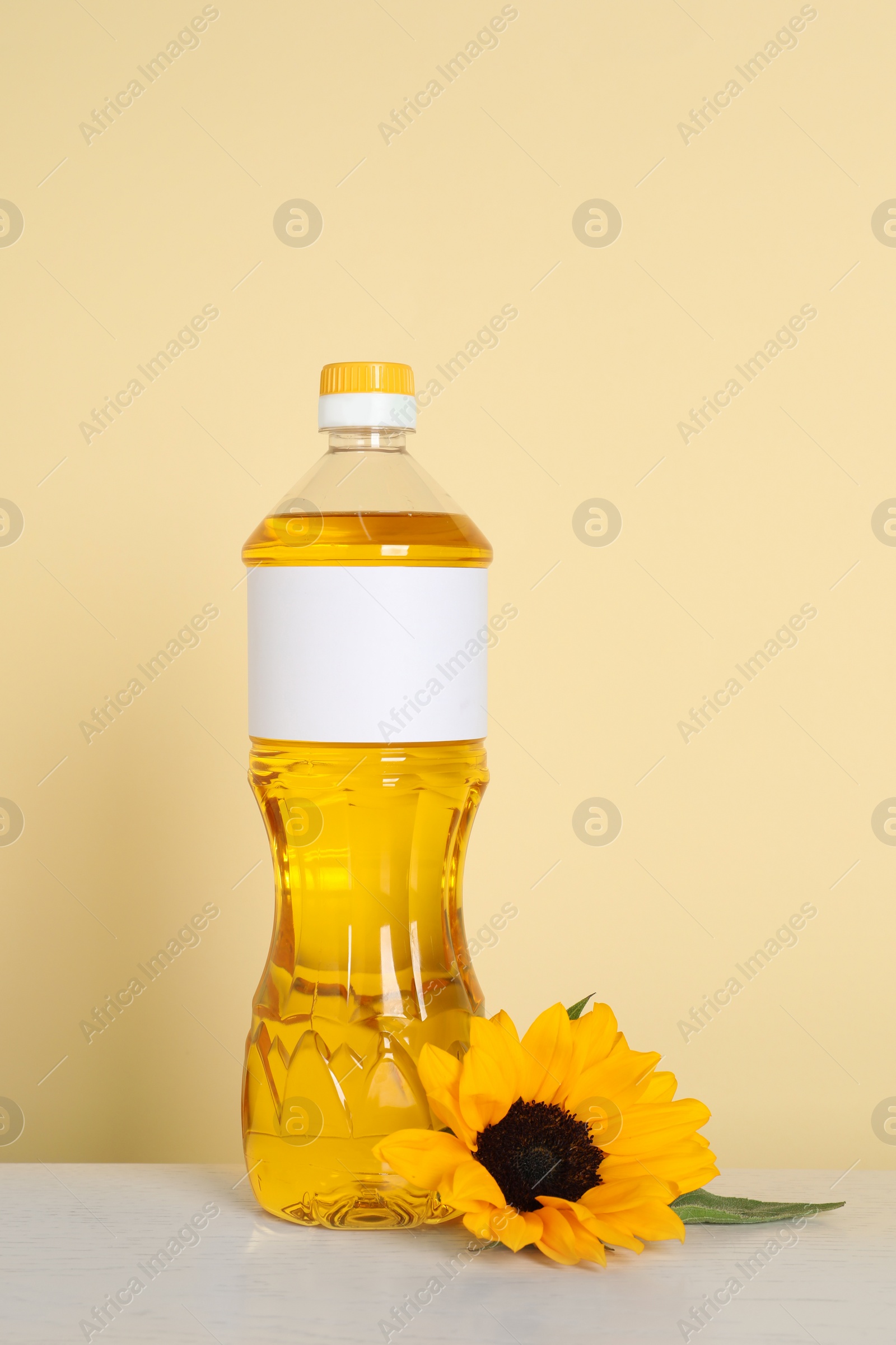 Photo of Bottle of cooking oil and sunflower on white table