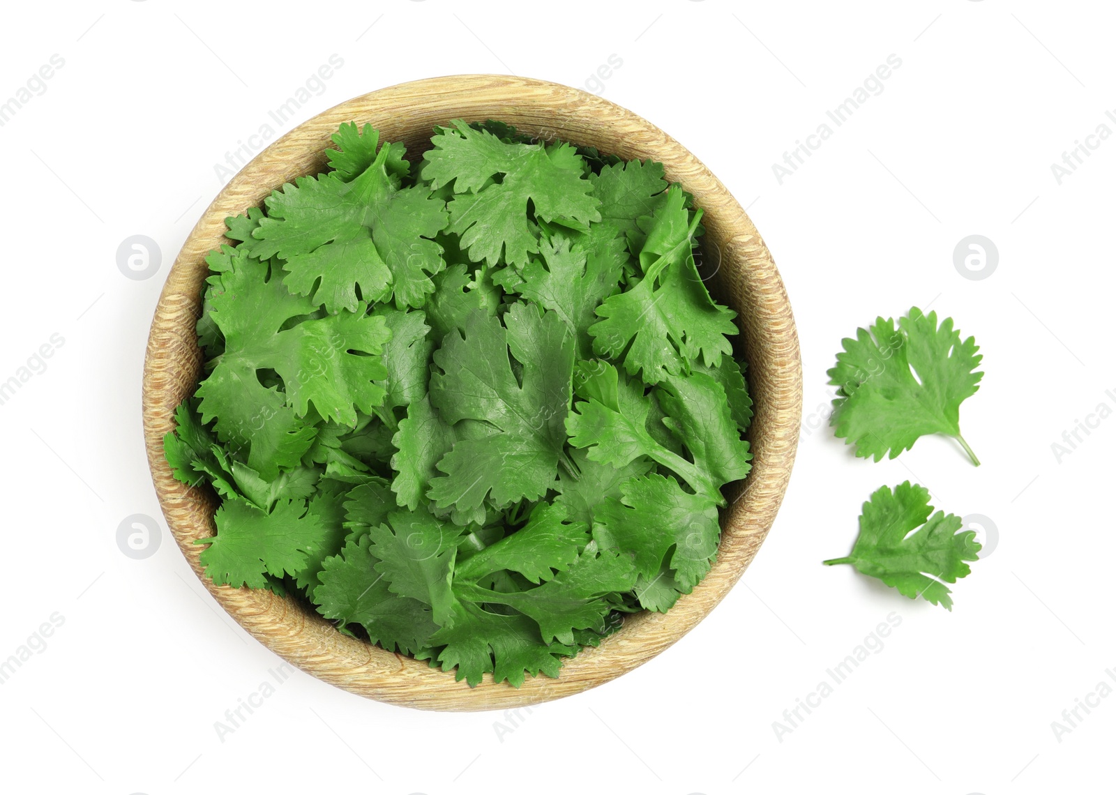 Photo of Bowl with fresh green coriander leaves on white background, top view